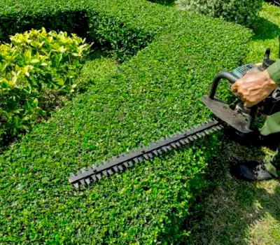 Park ve Yeşil Alan Bakımı Park ve Yeşil Alan Bakımı