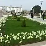 Orta Refüj Kavşak Çalışması