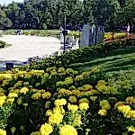 Park Yapımı