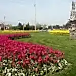 Park Yapımı