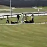 Park ve Yeşil Alan Bakımı