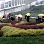 Park ve Yeşil Alan Bakımı