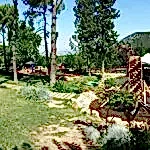Park ve Yeşil Alan Bakımı