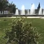 Park ve Yeşil Alan Bakımı