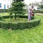 Park ve Yeşil Alan Bakımı
