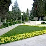 Park ve Yeşil Alan Bakımı