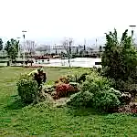 Park ve Yeşil Alan Bakımı