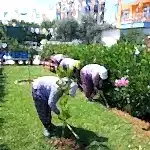 Park ve Yeşil Alan Bakımı