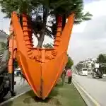 Park ve Yeşil Alan Bakımı