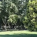 Park ve Yeşil Alan Bakımı