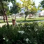 Park ve Yeşil Alan Bakımı