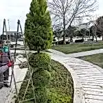 Park ve Yeşil Alan Bakımı