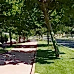 Park ve Yeşil Alan Bakımı