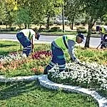 Park ve Yeşil Alan Bakımı