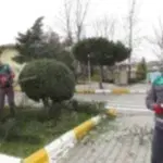 Park ve Yeşil Alan Bakımı
