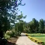 Park ve Yeşil Alan Bakımı,Çim bahçede yürüme yolu,Villa Bahçe Yürüyüş Yolu,Bahçe yolu düzenleme,Bahçe patika taşları,Kayrak taşı bahçe yolu,Bahçe Yolu Fikirleri,Kayrak taşı yürüme yolu,bahçe araba yolu yapımı