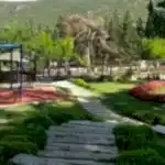 Park ve Yeşil Alan Bakımı