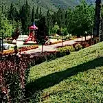 Park ve Yeşil Alan Bakımı