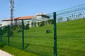 Saksı ve Sepet Çeşitleri