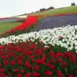 Yamaç Çalışması