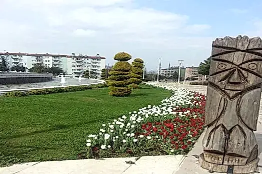 Kışlık mevsimlik çiçekler Peyzajda mevsimlik Çiçekler