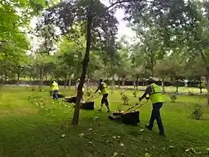 Ankara Peyzaj Firması,Ankara Peyzaj işleri,Ankara peyzaj mimarı,Ankara Peyzaj Telefon,Ankara’da Peyzaj,bahçe bakımı Ankara,bahçe dekorasyon,Bahçe Düzenleme,bahçe peyzaj ankara,bahçe süsleme, çim, çim biçme,fidanlık,İlaçlama,otomatik sulama,peyzaj,Peyzaj Ankara,peyzaj çevre düzenleme,peyzaj Firmaları Ankara,Peyzaj Firması,Peyzaj Firması Ankara,Peyzaj Fiyatları Ankara